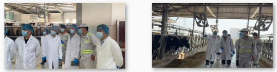 Intertek农(牧)场低碳养殖-奶牛认证