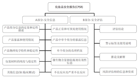 化妆品安全报告流程
