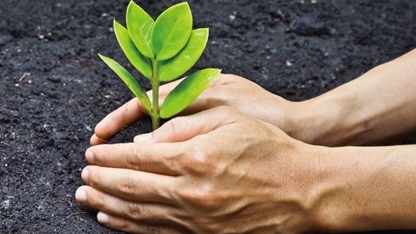 OCS 有机含量标准认证