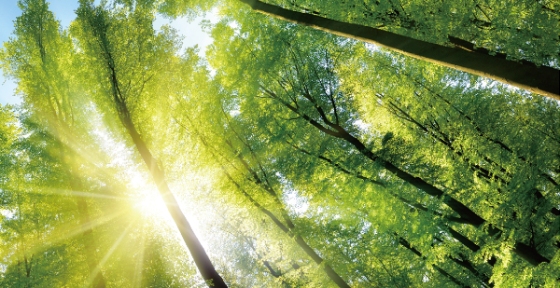 ISO 14021自我环境声明验证   