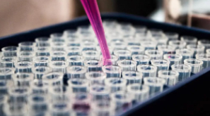 政府服务案例 | 贯彻抽检分离，抽样过程规范化可溯源